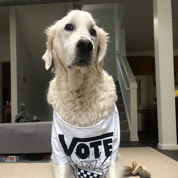 Meet your Posher, Lisa - Picture 1 of 1